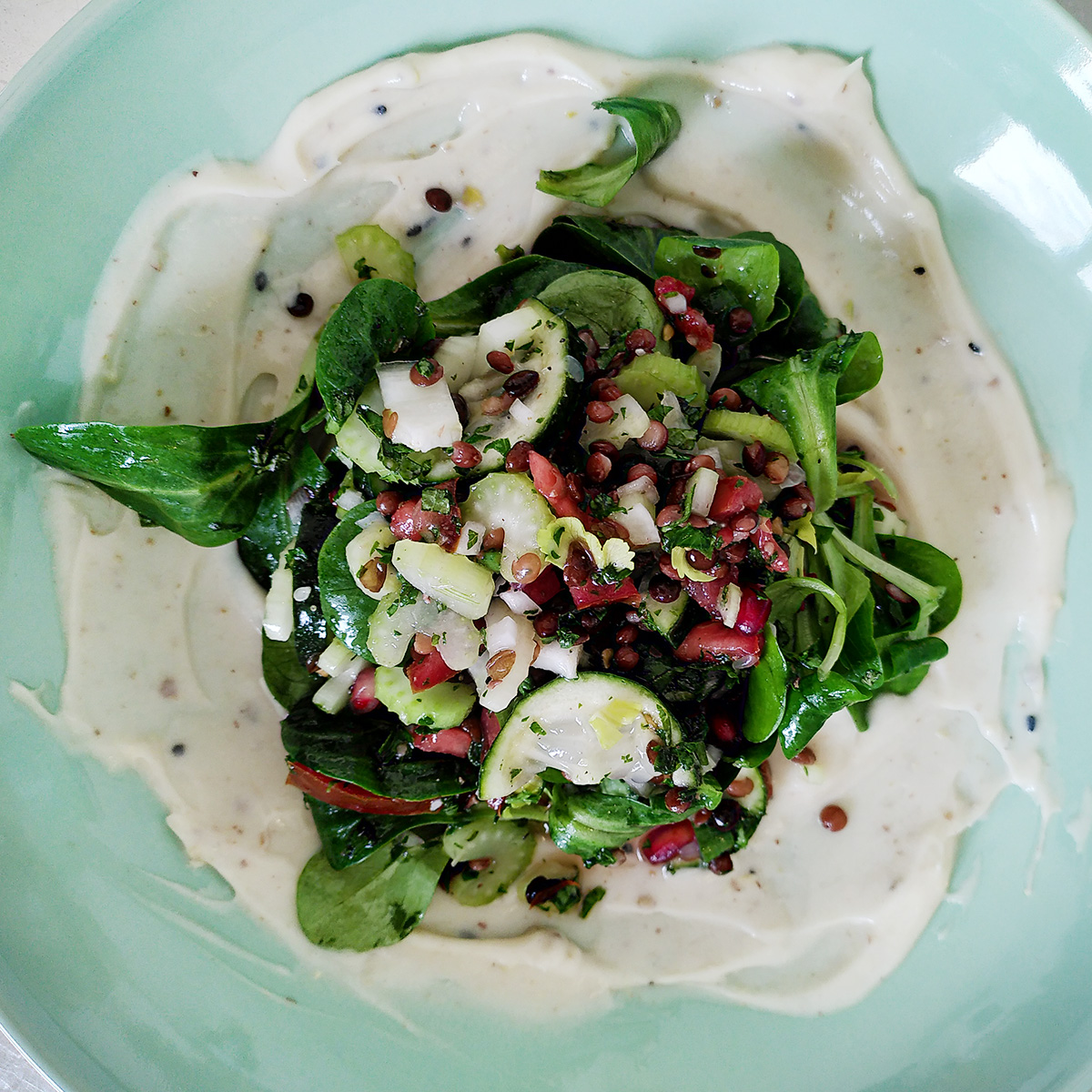belugalinsensalat-mit-labneh