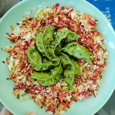 gemuese-gyoza-mit-karotten-kohl-salat
